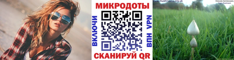 Галлюциногенные грибы Psilocybine cubensis  купить наркотик  Белая Калитва 